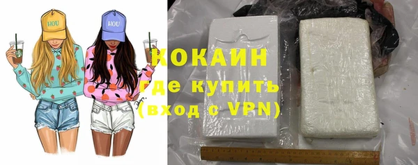 индика Баксан