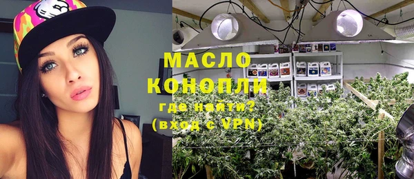 индика Баксан
