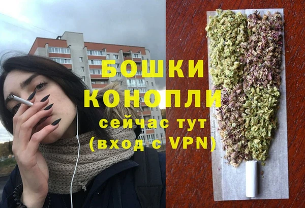 индика Баксан