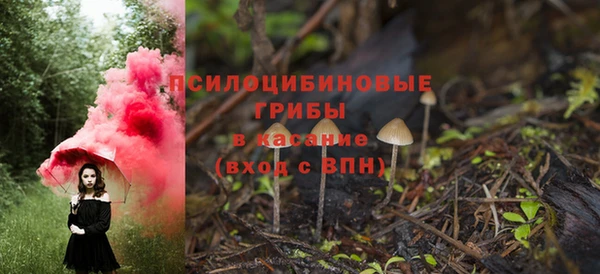 2c-b Балабаново