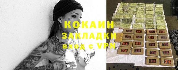 стаф Арсеньев