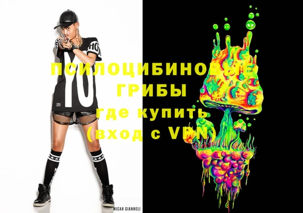 индика Баксан